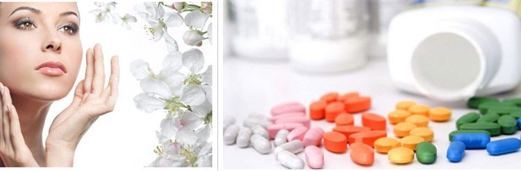 Astragalus extract.jpg